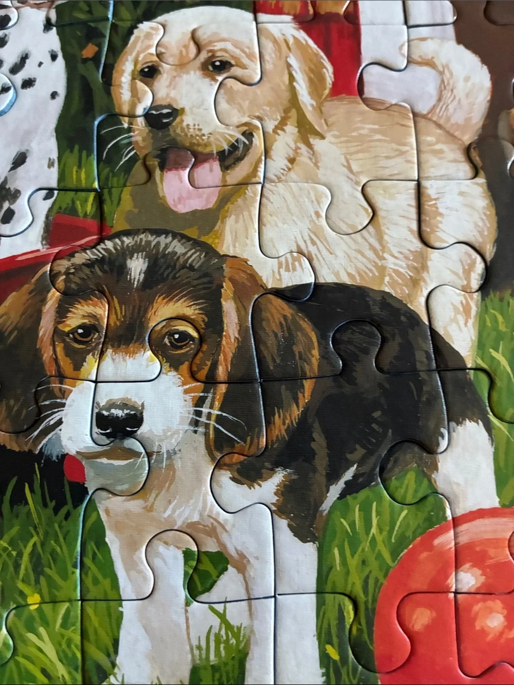 Ravensburger - PUPPIES AT PLAY PUZZLE